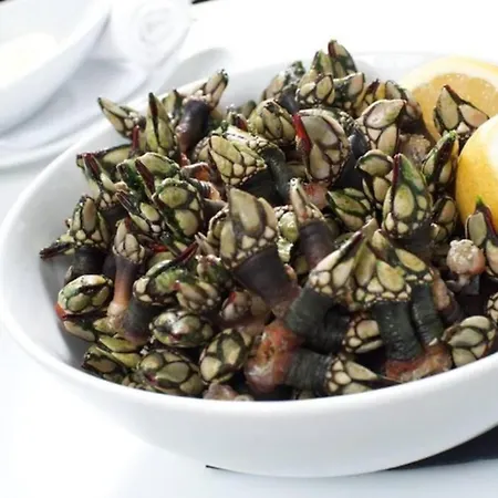 Casa Magnolia فيلة Matas (Lisbon)