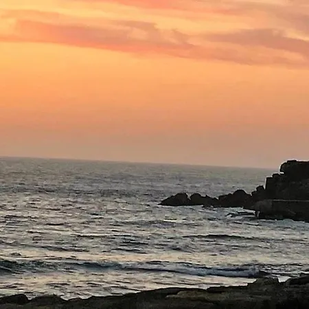 Casa Magnolia Matas (Lisbon)