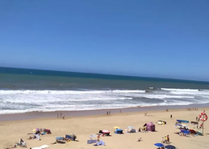 别墅 Casa Magnolia *