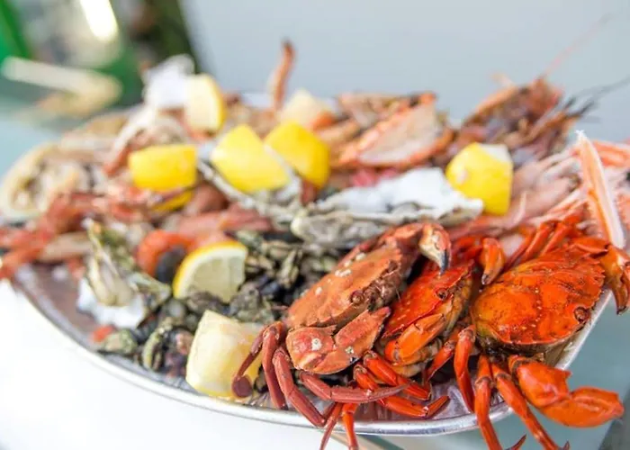 Casa Magnolia Matas (Lisbon)