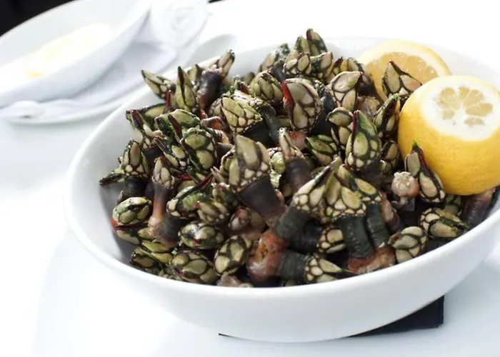 Casa Magnolia 别墅 Matas (Lisbon)